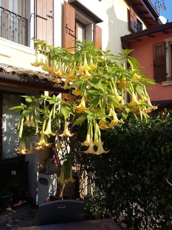 La Carbonara 6 Bed & Breakfast Bardolino Dış mekan fotoğraf
